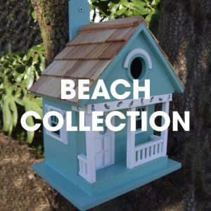 Beach Collection