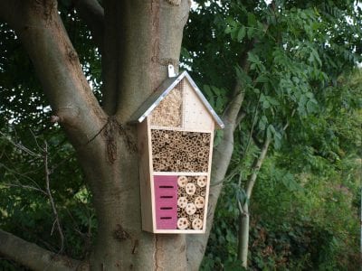 Where to Put a Bug Hotel in Your Garden 